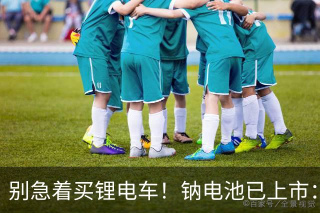 别急着买锂电车！钠电池已上市：5年质保，同容量还便宜大几百