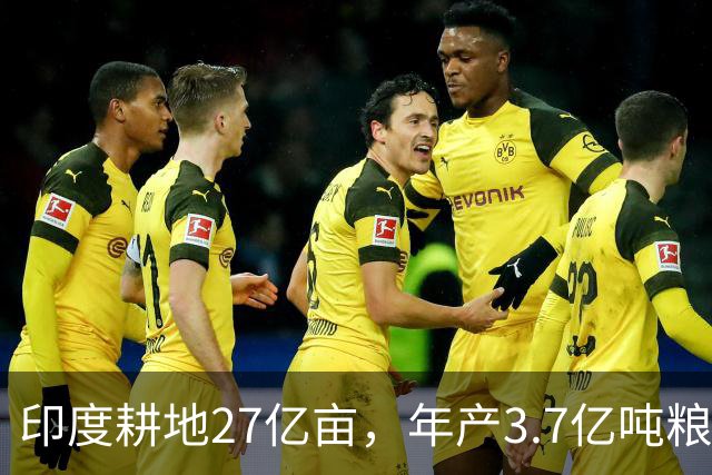 印度耕地27亿亩，年产3.7亿吨粮食，我国耕地19.18亿亩，年产多少