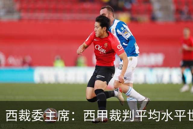 西裁委主席：西甲裁判平均水平世界最佳，误判难免